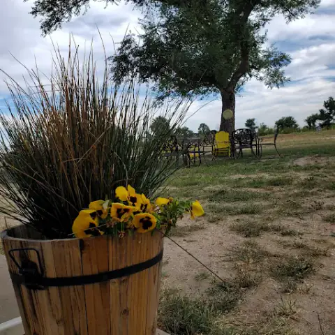 Flower planter and shaded patio seating on the campground lawn